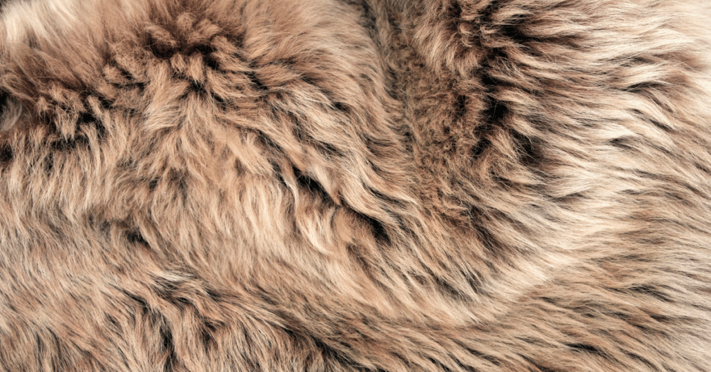 Leather, Hides, and Sheepskins Rug