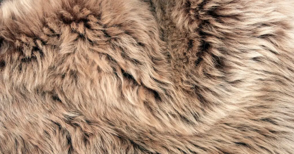 Leather, Hides, and Sheepskins Rug