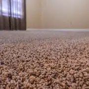 carpet cleaning by frogs floor care