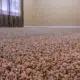 carpet cleaning by frogs floor care