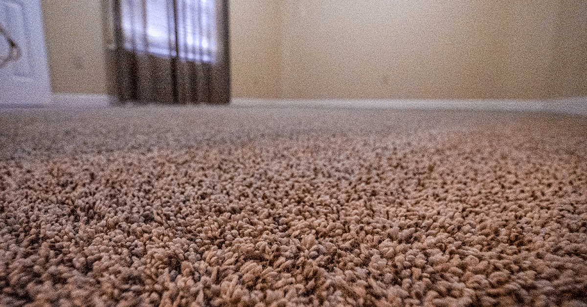 How to Choose the Right Carpet for Your Florida Home