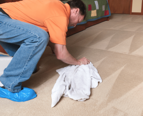lakeland professional carpet cleaning