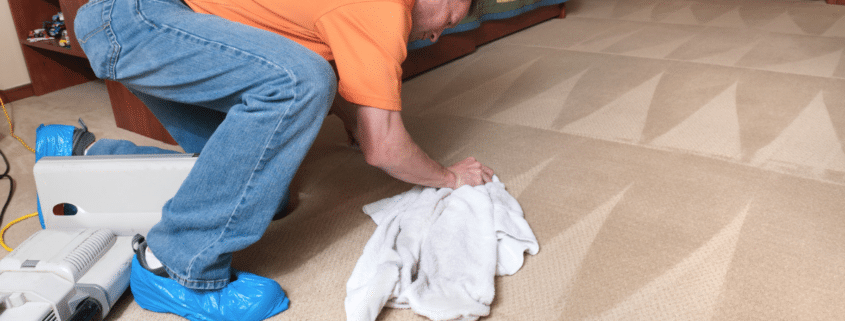 lakeland professional carpet cleaning
