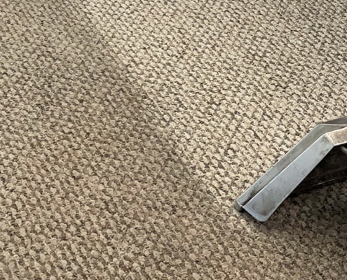 Polk county carpet cleaning service