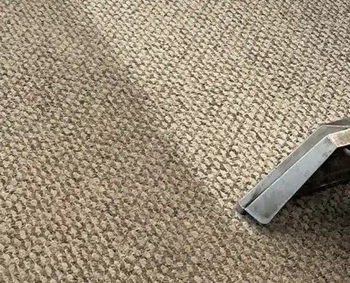 Polk county carpet cleaning service