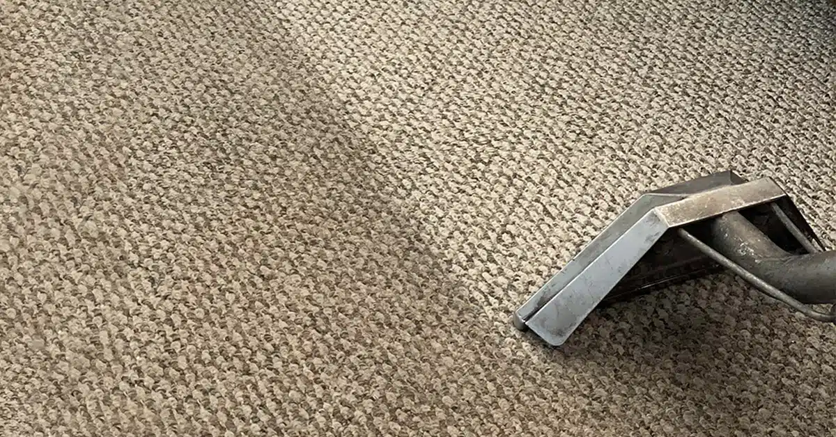 lakeland carpet cleaning
