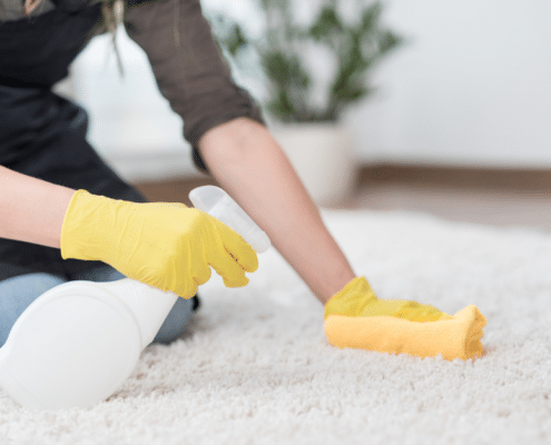 polk county local carpet cleaning
