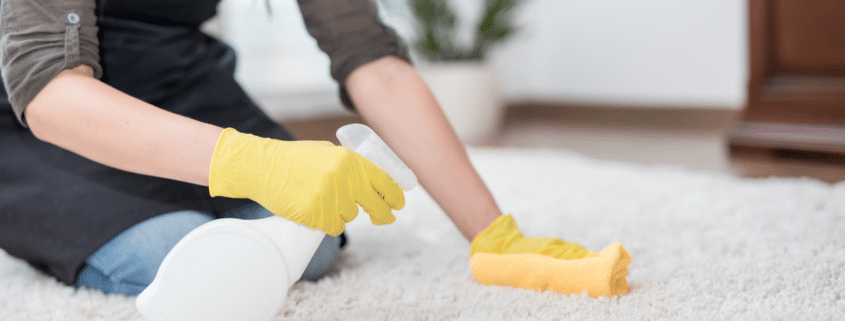 polk county local carpet cleaning