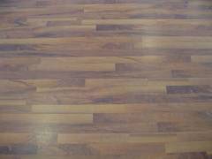 4496a1aae8e91482f911b1a906628448